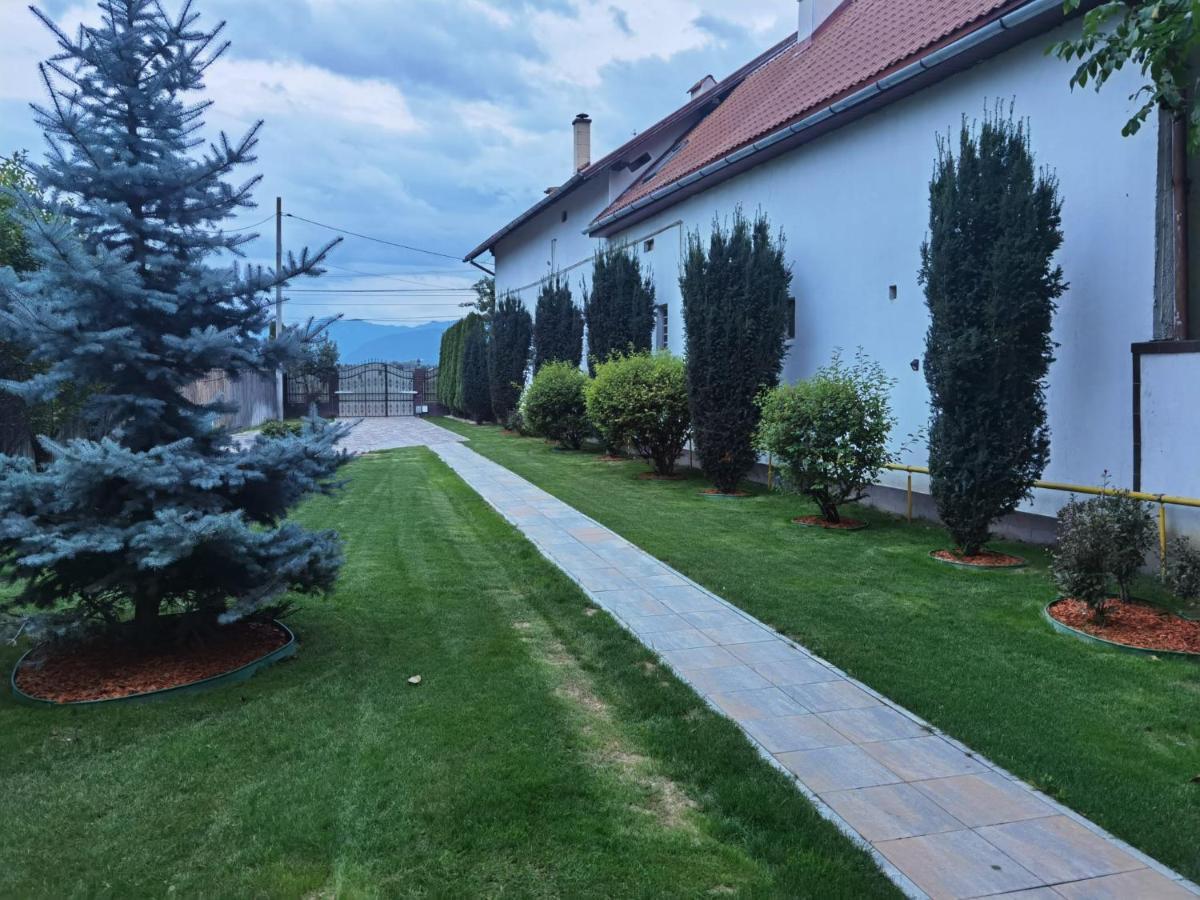 Отель Janine Garden Брашов Экстерьер фото